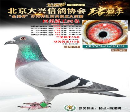 ǧԪ�ر��Ĺظ���35��