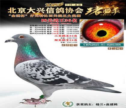 ǧԪ�ر��Ĺظ���36��