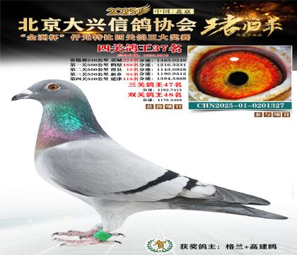 ǧԪ�ر��Ĺظ���37��