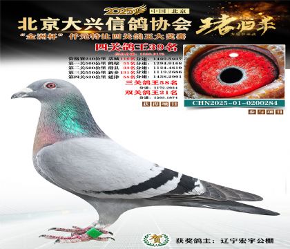 ǧԪ�ر��Ĺظ���39��