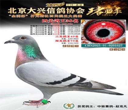 ǧԪ�ر��Ĺظ���38��