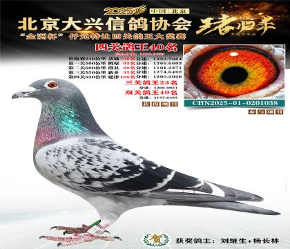 ǧԪ�ر��Ĺظ���40��