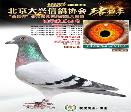 ǧԪ�ر��Ĺظ���43��