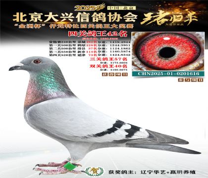 ǧԪ�ر��Ĺظ���42��