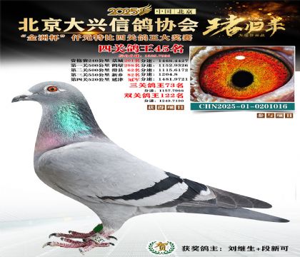 ǧԪ�ر��Ĺظ���45��