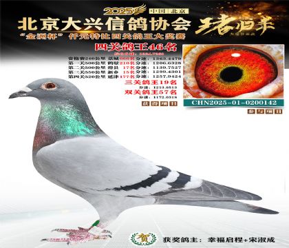 ǧԪ�ر��Ĺظ���46��