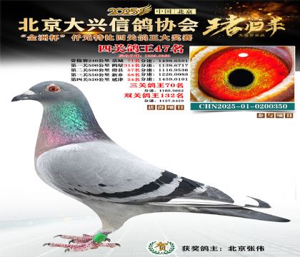 ǧԪ�ر��Ĺظ���47��