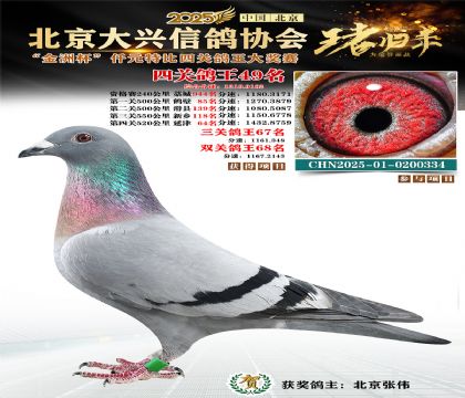 ǧԪ�ر��Ĺظ���49��