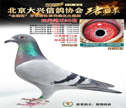 ǧԪ�ر��Ĺظ���50��