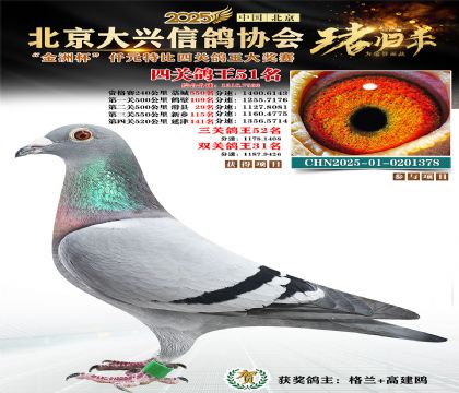 ǧԪ�ر��Ĺظ���51��