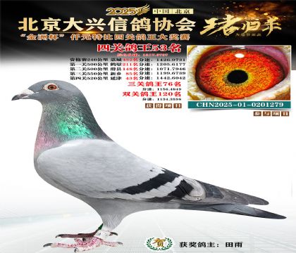 ǧԪ�ر��Ĺظ���53��