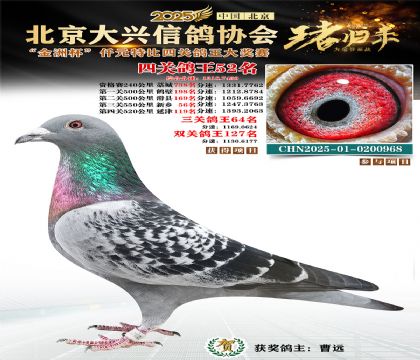 ǧԪ�ر��Ĺظ���52��