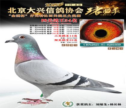 ǧԪ�ر��Ĺظ���54��