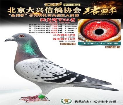 ǧԪ�ر��Ĺظ���55��