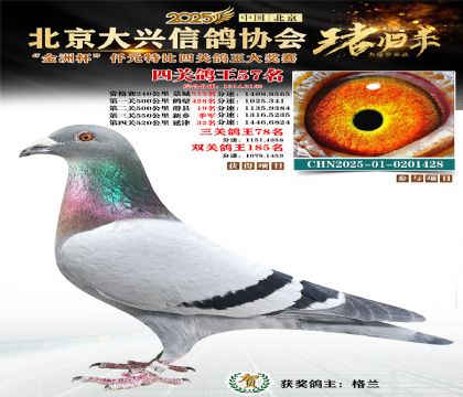 ǧԪ�ر��Ĺظ���57��