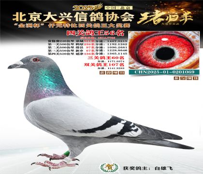 ǧԪ�ر��Ĺظ���56��