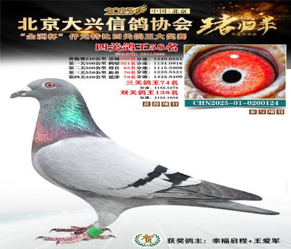 ǧԪ�ر��Ĺظ���58��