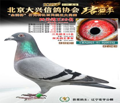 ǧԪ�ر��Ĺظ���59��