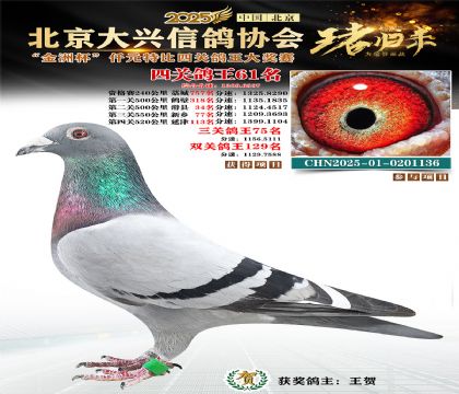 ǧԪ�ر��Ĺظ���61��