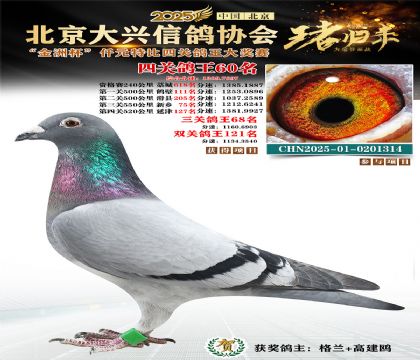 ǧԪ�ر��Ĺظ���60��