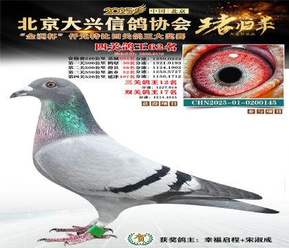 ǧԪ�ر��Ĺظ���62��