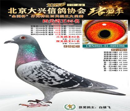 ǧԪ�ر��Ĺظ���65��