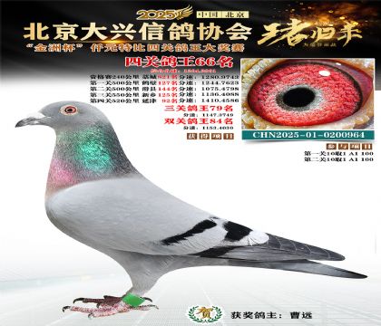 ǧԪ�ر��Ĺظ���66��