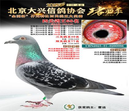 ǧԪ�ر��Ĺظ���68��