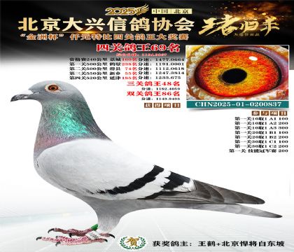 ǧԪ�ر��Ĺظ���69��