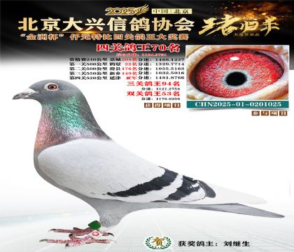 ǧԪ�ر��Ĺظ���70��