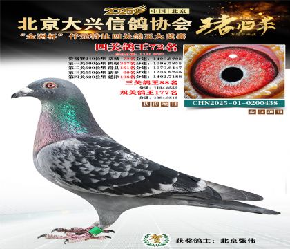 ǧԪ�ر��Ĺظ���72��