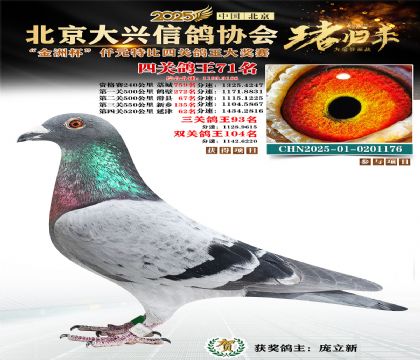 ǧԪ�ر��Ĺظ���71��