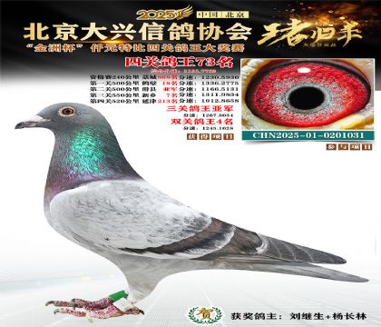 ǧԪ�ر��Ĺظ���73��