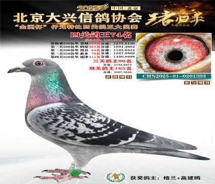 ǧԪ�ر��Ĺظ���74��