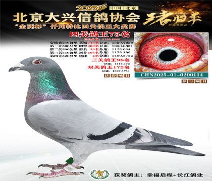 ǧԪ�ر��Ĺظ���75��