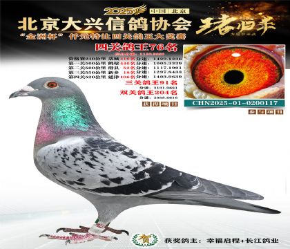 ǧԪ�ر��Ĺظ���76��