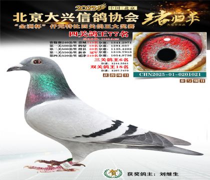 ǧԪ�ر��Ĺظ���77��