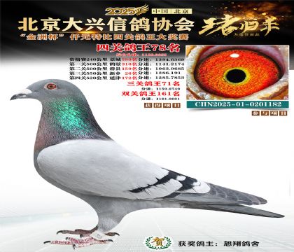 ǧԪ�ر��Ĺظ���78��