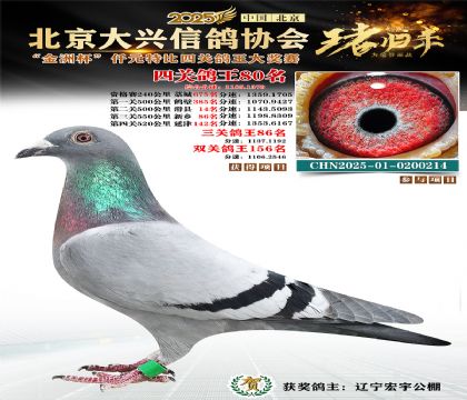 ǧԪ�ر��Ĺظ���80��