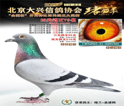 ǧԪ�ر��Ĺظ���79��