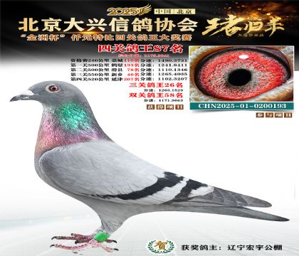 ǧԪ�ر��Ĺظ���87��