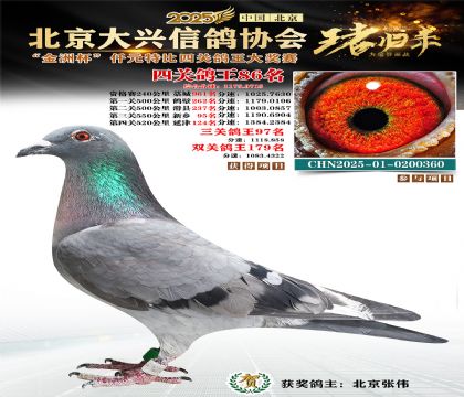 ǧԪ�ر��Ĺظ���86��