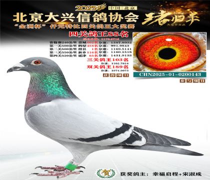 ǧԪ�ر��Ĺظ���88��