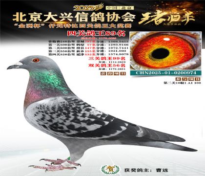 ǧԪ�ر��Ĺظ���89��