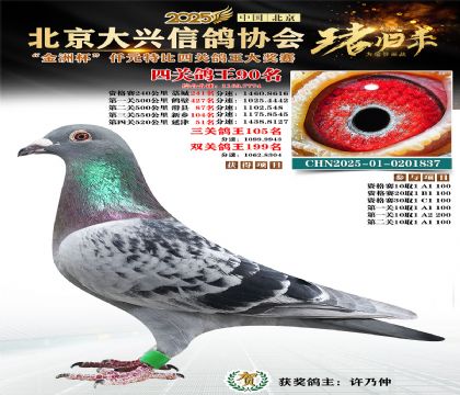 ǧԪ�ر��Ĺظ���90��