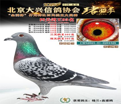 ǧԪ�ر��Ĺظ���93��