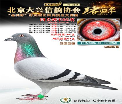 ǧԪ�ر��Ĺظ���95��