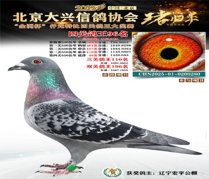 ǧԪ�ر��Ĺظ���96��