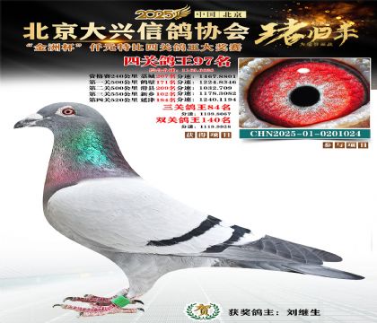 ǧԪ�ر��Ĺظ���97��