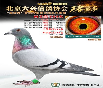 ǧԪ�ر��Ĺظ���99��